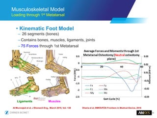 32
Musculoskeletal Model
Loading through 1st Metatarsal
• Kinematic Foot Model
– 26 segments (bones)
– Contains bones, muscles, ligaments, joints
– 75 Forces through 1st Metatarsal
Al-Munnajed et al, J Biomech Eng., March 2016, Vol. 138
Y
Z
X
Ligaments Muscles
Dharia et al, BMES/FDA Frontiers in Medical Device, 2016
 