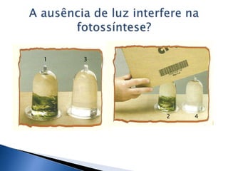 1   3




        2   4
 