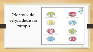 Normas de
seguridade no
campo
13
 