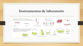 Instrumentos de laboratorio
15
 