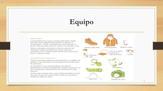 Equipo
9
 
