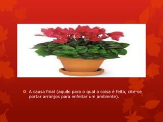  A causa final (aquilo para o qual a coisa é feita, cite-se
portar arranjos para enfeitar um ambiente).
 