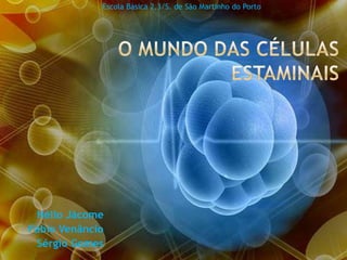 Escola Básica 2,3/S. de São Martinho do Porto O Mundo das Células Estaminais  Hélio Jácome Fábio Venâncio Sérgio Gomes 