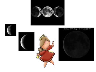 O mundo das letras c