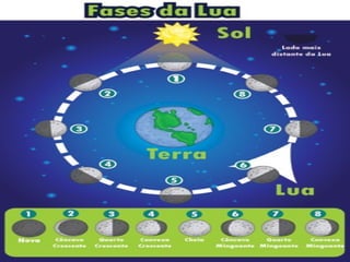 O mundo das letras c