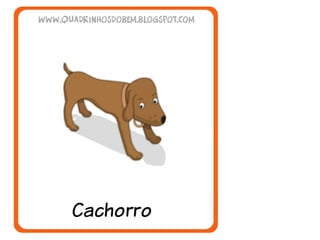 O mundo das letras c