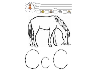 O mundo das letras c