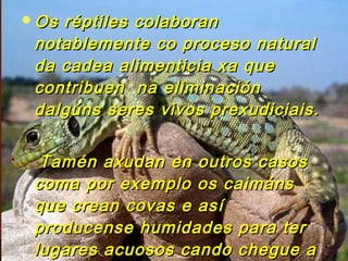Os rrééppttiilleess ccoollaabboorraann 
nnoottaabblleemmeennttee ccoo pprroocceessoo nnaattuurraall 
ddaa ccaaddeeaa aalliimmeennttiicciiaa xxaa qquuee 
ccoonnttrriibbuueenn nnaa eelliimmiinnaacciióónn 
ddaallggúúnnss sseerreess vviivvooss pprreexxuuddiicciiaaiiss.. 
TTaamméénn aaxxuuddaann eenn oouuttrrooss ccaassooss 
ccoommaa ppoorr eexxeemmpplloo ooss ccaaiimmáánnss 
qquuee ccrreeaann ccoovvaass ee aassíí 
pprroodduucceennssee hhuummiiddaaddeess ppaarraa tteerr 
lluuggaarreess aaccuuoossooss ccaannddoo cchheegguuee aa 
eessttaacciióónn sseeccaa.. 
 