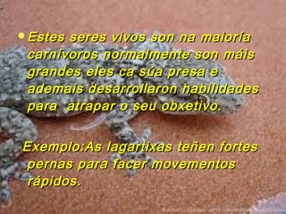 Estes seres vivos ssoonn nnaa mmaaiioorrííaa 
ccaarrnníívvoorrooss nnoorrmmaallmmeennttee ssoonn mmááiiss 
ggrraannddeess eelleess ccaa ssúúaa pprreessaa ee 
aaddeemmaaiiss ddeessaarrrroollllaarroonn hhaabbiilliiddaaddeess 
ppaarraa aattrraappaarr oo sseeuu oobbxxeettiivvoo.. 
EExxeemmpplloo::AAss llaaggaarrttiixxaass tteeññeenn ffoorrtteess 
ppeerrnnaass ppaarraa ffaacceerr mmoovveemmeennttooss 
rrááppiiddooss.. 
 