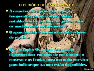 OO PPEERRIIÓÓDDOO DDEE AAPPAARREEAAMMEENNTTOO:: 
AA ccaarraacctteerrííssttiiccaa pprriinncciippaall éé qquuee aa 
tteemmppeerraattuurraa ddoo sseeuu ccoorrppoo ccaammbbiiaa 
nnoottaabblleemmeennttee ee pprrooddúúcceennssee ppeelleeaass eennttrree 
ooss mmaacchhooss mmááiiss nnoottaabblleemmeennttee.. 
OO aappaarreeaammeennttoo éé ddiissttiinnttoo eenn ccaaddaa eessppeecciiee 
ddee rrééppttiilleess:: 
PPoorr eexxeemmpplloo:: OOss ccaammaalleeóónnss mmaacchhoo 
eexxppeerriimmeennttaann ccaammbbiiooss ddee ccoorr dduurraannttee oo 
ccoorrtteexxoo ee aass ffeemmiiaass mmoossttrraann uunnhhaa ccoorr vviivvaa 
ppaarraa iinnddiiccaarr qquuee xxaa nnoonn eessttáánn ddiissppooññiibblleess.. 
 