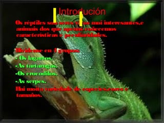 IInnttrroodduucciióónn 
OOss rrééppttiilleess ssoonn sseerreess vviivvooss mmooii iinntteerreessaanntteess,,ee 
aanniimmaaiiss ddooss qquuee aappeennaass ccooññeecceemmooss 
ccaarraacctteerrííssttiiccaass ee ppeeccuulliiaarriiddaaddeess.. 
DDiivviiddeennssee eenn 44 ggrruuppooss:: 
-- OOss llaaggaarrttooss.. 
--AAss ttaarrttaarruuggaass.. 
--OOss ccrrooccooddiillooss.. 
--AAss sseerrppeess.. 
HHaaii mmooiittaa vvaarriieeddaaddee ddee eessppeecciieess,,ccoorreess ee 
ttaammaaññooss.. 
 