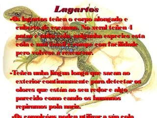 LLaaggaarrttooss 
--OOss llaaggaarrttooss tteeññeenn oo ccoorrppoo aalloonnggaaddoo ee 
ccuubbeerrttoo ddee eessccaammaass.. NNoo xxeerraall tteeññeenn 44 
ppaattaass ee uunnhhaa ccoollaa,, nnaallgguunnhhaa eessppeecciieess eessttaa 
ccoollaa ee mmooii ffrrááxxiill ee rroommppee ccoonn ffaacciilliiddaaddee 
ppeerroo vvoollvveessee aa rreexxeenneerraarr.. 
--TTeeññeenn uunnhhaa lliinngguuaa lloonnggaa qquuee ssaaccaann aaoo 
eexxtteerriioorr ccoonnttiinnuuaammeennttee ppaarraa ddeetteeccttaarr ooss 
oolloorreess qquuee eessttáánn aaoo sseeuu rreeddoorr ee aallggoo 
ppaarreecciiddoo ccoommoo ccaannddoo ooss hhuummaannooss 
rreeppiirraammooss ppoollaa nnaarriizz.. 
--OOss ccaammaalleeóónnss ppooddeenn uuttiilliizzaarr aa ssúúaa ccoollaa 
 