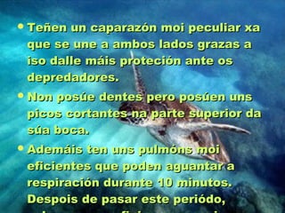 TTeeññeenn uunn ccaappaarraazzóónn mmooii ppeeccuulliiaarr xxaa 
qquuee ssee uunnee aa aammbbooss llaaddooss ggrraazzaass aa 
iissoo ddaallllee mmááiiss pprrootteecciióónn aannttee ooss 
ddeepprreeddaaddoorreess.. 
NNoonn ppoossúúee ddeenntteess ppeerroo ppoossúúeenn uunnss 
ppiiccooss ccoorrttaanntteess nnaa ppaarrttee ssuuppeerriioorr ddaa 
ssúúaa bbooccaa.. 
AAddeemmááiiss tteenn uunnss ppuullmmóónnss mmooii 
eeffiicciieenntteess qquuee ppooddeenn aagguuaannttaarr aa 
rreessppiirraacciióónn dduurraannttee 1100 mmiinnuuttooss.. 
DDeessppooiiss ddee ppaassaarr eessttee ppeerriióóddoo,, 
ssoobbeenn aa ssuuppeerrffiicciiee ppaarraa rreessppiirraarr.. 
 