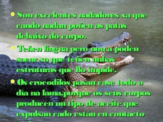 Son excelentes nnaaddaaddoorreess xxaa qquuee 
ccaannddoo nnaaddaann ppooññeenn aass ppaattaass 
ddeebbaaiixxoo ddoo ccoorrppoo.. 
TTeeññeenn lliinngguuaa ppeerroo nnoonn aa ppooddeenn 
ssaaccaarr xxaa qquuee tteeññeenn uunnhhaass 
eessttrruuttuurraass qquuee lllloo iimmppiiddee.. 
OOss ccrrooccooddiillooss ppaassaann ccaassee ttooddoo oo 
ddííaa nnaa llaammaa,,ppoorrqquuee ooss sseeuuss ccoorrppooss 
pprroodduucceenn uunn ttiippoo ddee aacceeiittee qquuee 
eexxppuullssaann ccaaddoo eessttáánn eenn ccoonnttaaccttoo 
ccoo ffaannggoo.. 
 