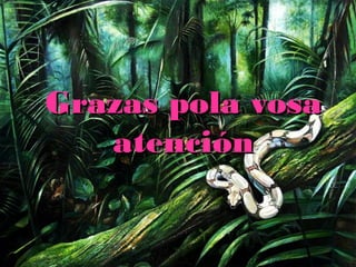 GGrraazzaass ppoollaa vvoossaa 
aatteenncciióónn 
