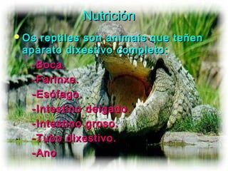 NNuuttrriicciióónn 
OOss rreeppttiilleess ssoonn aanniimmaaiiss qquuee tteeññeenn 
aappaarraattoo ddiixxeessttiivvoo ccoommpplleettoo:: 
--BBooccaa.. 
--FFaarriinnxxee.. 
--EEssóóffaaggoo.. 
--IInntteessttiinnoo ddeellggaaddoo.. 
--IInntteessttiinnoo ggrroossoo.. 
--TTuubboo ddiixxeessttiivvoo.. 
--AAnnoo 
 