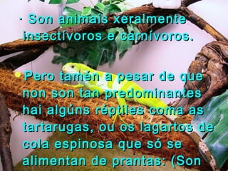 · Son aanniimmaaiiss xxeerraallmmeennttee 
iinnsseeccttíívvoorrooss ee ccaarrnníívvoorrooss.. 
PPeerroo ttaamméénn aa ppeessaarr ddee qquuee 
nnoonn ssoonn ttaann pprreeddoommiinnaanntteess 
hhaaii aallggúúnnss rrééppttiilleess ccoommaa aass 
ttaarrttaarruuggaass,, oouu ooss llaaggaarrttooss ddee 
ccoollaa eessppiinnoossaa qquuee ssóó ssee 
aalliimmeennttaann ddee pprraannttaass:: ((SSoonn 
hheerrvvííbboorrooss)).. 
 