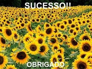 OBRIGADO
SUCESSO!!
 