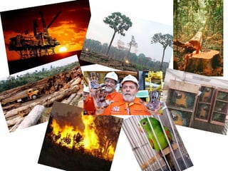 EXPLICAÇÃO:Enquanto os conglomerados globais se enriquecem, os países subdesenvolvidos terão resultados mais baixos. Isso porque, estão cada vez mais empenhados em comprar as tecnologias dos países desenvolvidos e comprometem seus recursos naturais para investirem em produtos para exportação. Além de ampliarem a exploração de minérios, destruição de florestas para instalações de hidrelétricas, criação de animais e monoculturas. Esses países estão cada vez mais dependentes dos países desenvolvidos.