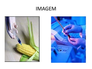 Frase 20A medicina não tem buscado maiores conhecimentos e aperfeiçoamentos quando se trata de doenças que atinge a maioria da população pobre, e sim desenvolve uma medicina que gera lucro, ou seja, aquela ligada a minoria de uma população rica, onde as pessoas não ligam para saúde. 