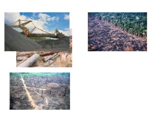 FRASE  3  1  Podemos citar um exemplo de desvio de funções públicas foi a eleição e a administração de George W. Bush, que seu objetivo econômico era baseado na promoção política, as empresas de petróleo do Texas. As consequências disso, as suas ações tem beneficiado os gigantes e poderosos comglomerados das indústrias petrolífera.