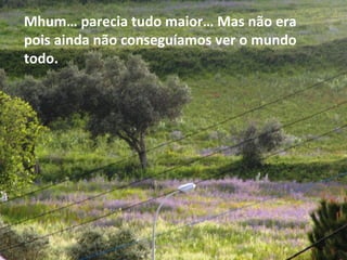 Mhum… parecia tudo maior… Mas não era
pois ainda não conseguíamos ver o mundo
todo.
 