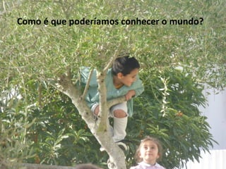 Como é que poderíamos conhecer o mundo?
 