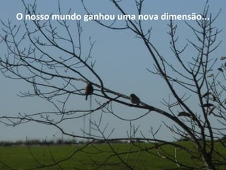 O nosso mundo ganhou uma nova dimensão...
 