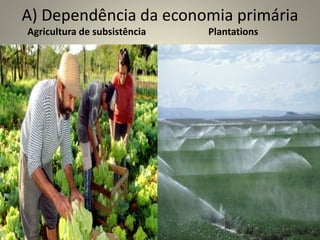 A) Dependência da economia primária
Agricultura de subsistência Plantations
 