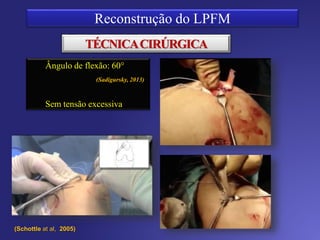 TÉCNICACIRÚRGICA
David Sadigursky
 