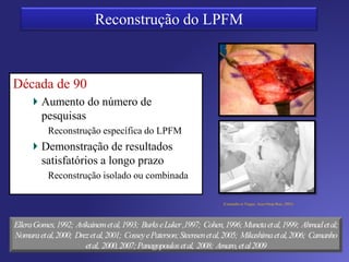 Revisão
Maior atuação - 0° a 30°
Tensão máxima 208N
Semitendíneo duplo - 1600N
 