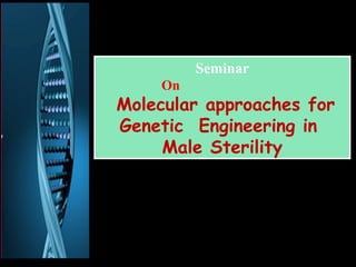 Seminar 
On 
Seminar 
On 
Molecular approaches for 
Genetic Engineering in 
Male Sterility 
1 
 