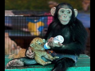 On a-tous-quelqu-un-a-aimer1