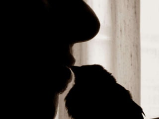 On a-tous-quelqu-un-a-aimer1