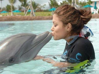 On a-tous-quelqu-un-a-aimer1