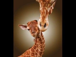 On a-tous-quelqu-un-a-aimer1