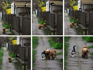 On a-tous-quelqu-un-a-aimer1