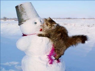 On a-tous-quelqu-un-a-aimer1