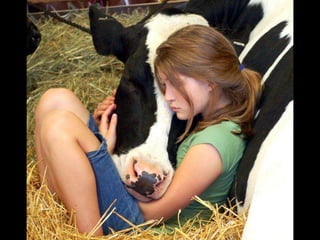 On a-tous-quelqu-un-a-aimer1