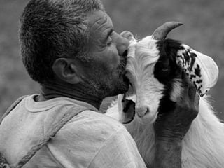 On a-tous-quelqu-un-a-aimer1