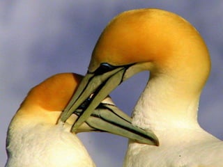 On a-tous-quelqu-un-a-aimer1