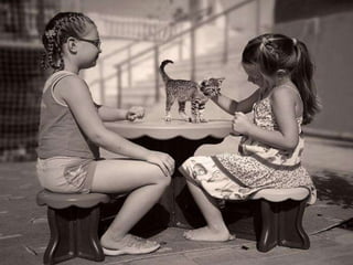 On a-tous-quelqu-un-a-aimer1