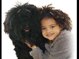 On a-tous-quelqu-un-a-aimer1