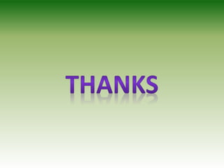 On-Page Optimization | SEO On page