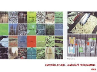 UNIVERSAL STUDIO – LANDSCAPE PROGRAMMING OMA