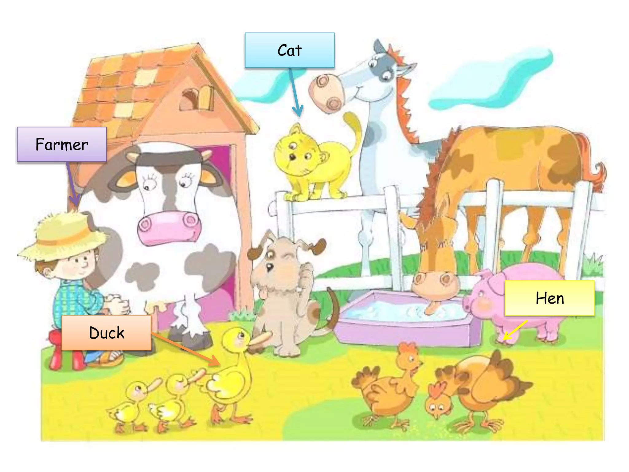 Duck
Cat
Hen
Farmer