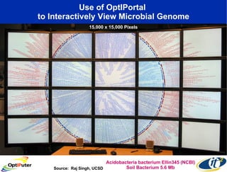 Use of OptIPortal  to Interactively View Microbial Genome Source:  Raj Singh, UCSD Acidobacteria bacterium Ellin345 (NCBI) Soil Bacterium 5.6 Mb 15,000 x 15,000 Pixels 