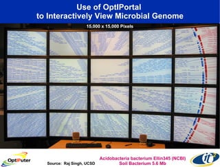 Use of OptIPortal  to Interactively View Microbial Genome Source:  Raj Singh, UCSD Acidobacteria bacterium Ellin345 (NCBI) Soil Bacterium 5.6 Mb 15,000 x 15,000 Pixels 