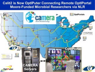 Calit2 is Now OptIPuter Connecting Remote OptIPortal  Moore-Funded Microbial Researchers via NLR NW! CICESE UW JCVI MIT SIO UCSD SDSU UIC EVL UCI OptIPortals OptIPortal CAMERA Servers 