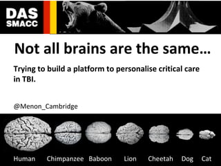 Trying to build a platform to personalise critical care
in TBI.
@Menon_Cambridge
Not all brains are the same…
Human Chimpanzee Baboon Lion Cheetah Dog Cat
 